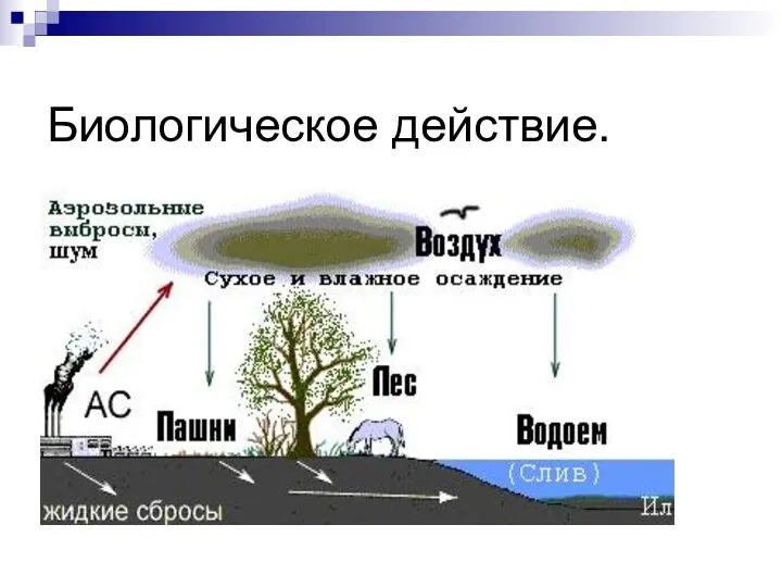 Биологическое действие.