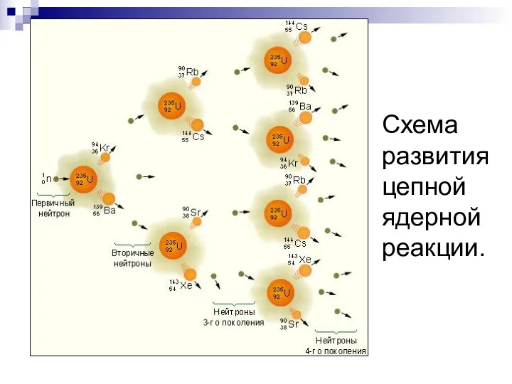 Схема развития цепной ядерной реакции.