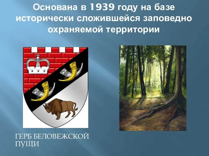 Основана в 1939 году на базе исторически сложившейся заповедно охраняемой территории ГЕРБ БЕЛОВЕЖСКОЙ ПУЩИ