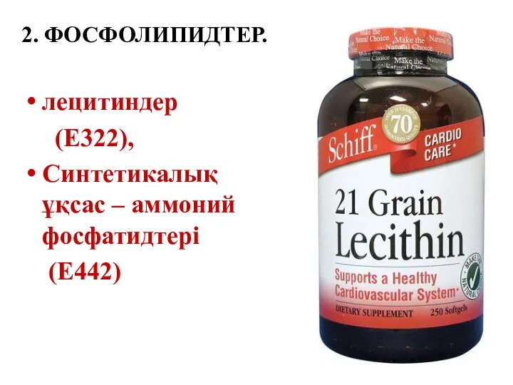 2. ФОСФОЛИПИДТЕР. лецитиндер (Е322), Синтетикалық ұқсас – аммоний фосфатидтері (Е442)