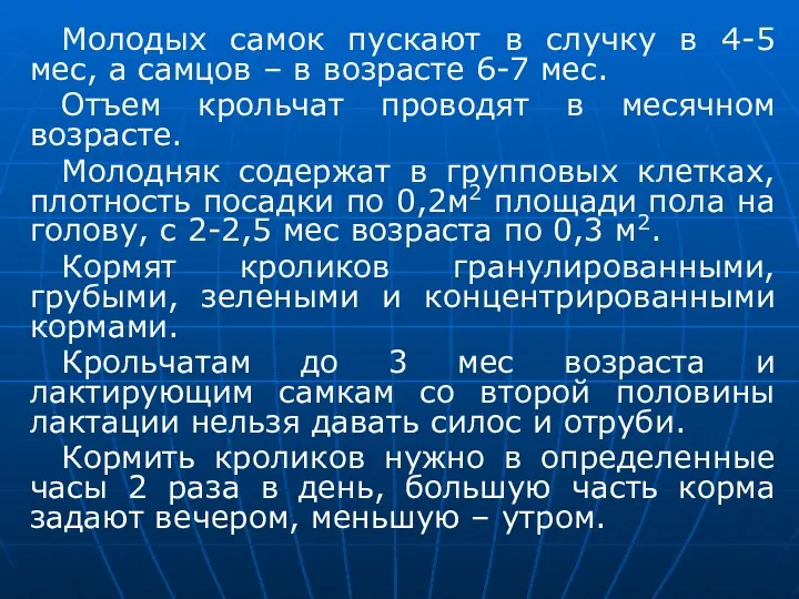 Молодых самок пускают в случку в 4-5 мес, а самцов