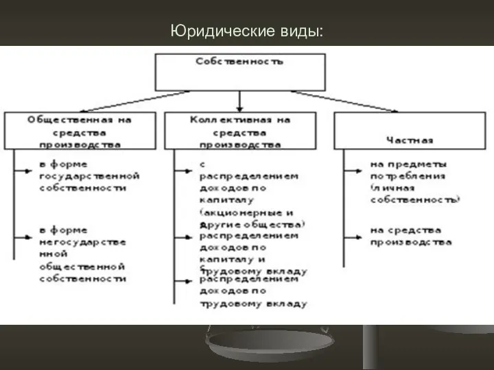 Юридические виды: .