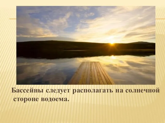 Бассейны следует располагать на солнечной стороне водоема.