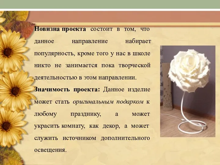 Новизна проекта состоит в том, что данное направление набирает популярность, кроме того у