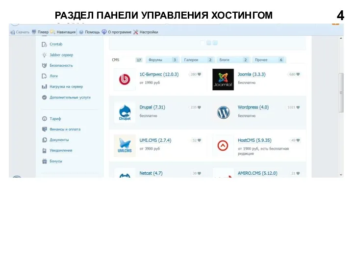 РАЗДЕЛ ПАНЕЛИ УПРАВЛЕНИЯ ХОСТИНГОМ С CMS