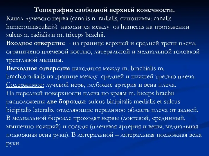 Топография свободной верхней конечности. Канал лучевого нерва (canalis n. radialis,