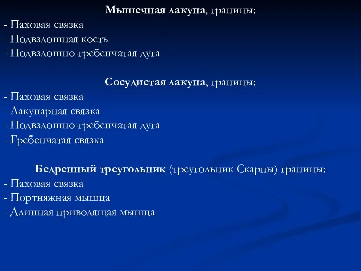 Мышечная лакуна, границы: - Паховая связка - Подвздошная кость - Подвздошно-гребенчатая дуга Сосудистая