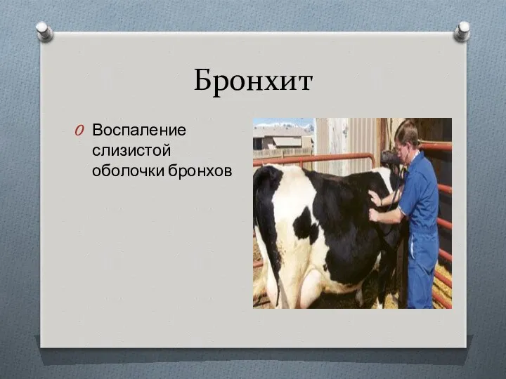 Бронхит Воспаление слизистой оболочки бронхов