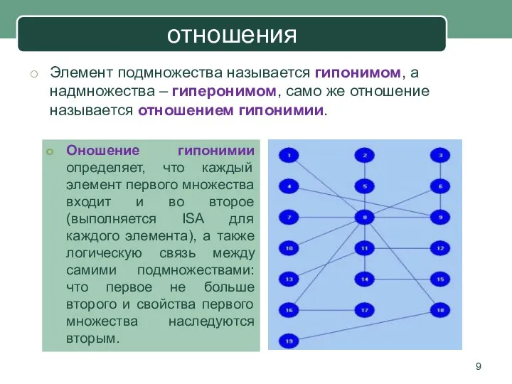 отношения Элемент подмножества называется гипонимом, а надмножества – гиперонимом, само