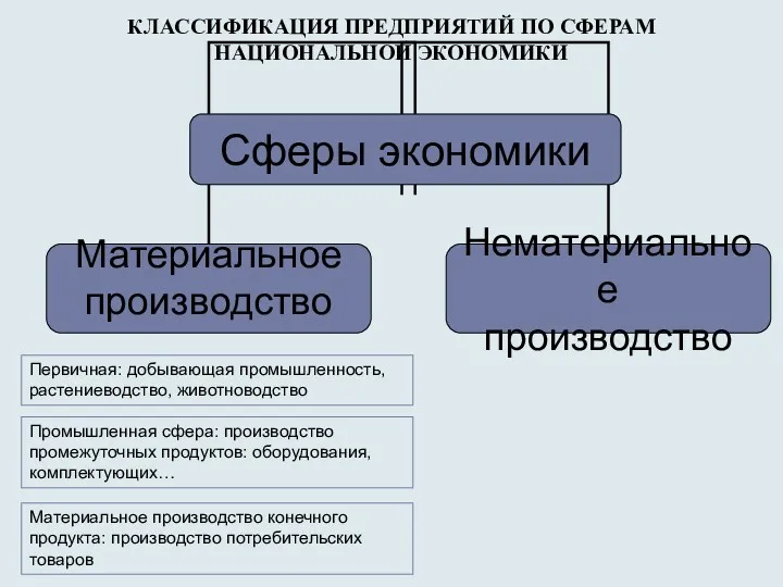 КЛАССИФИКАЦИЯ ПРЕДПРИЯТИЙ ПО СФЕРАМ НАЦИОНАЛЬНОЙ ЭКОНОМИКИ Первичная: добывающая промышленность, растениеводство,