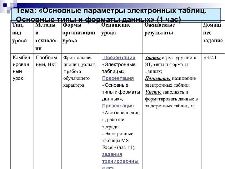 Тема: «Основные параметры электронных таблиц. Основные типы и форматы данных» (1 час)