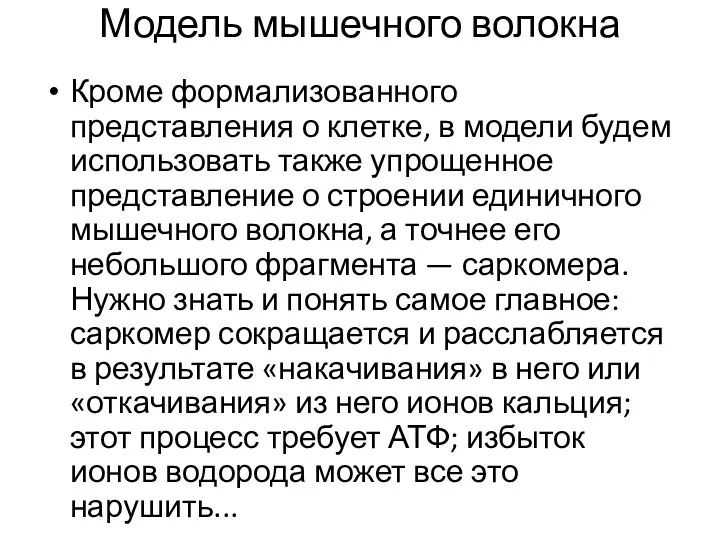 Модель мышечного волокна Кроме формализованного представления о клетке, в модели