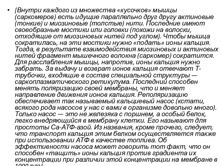 [Внутри каждого из множества «кусочков» мышцы (саркомеров) есть идущие параллельно