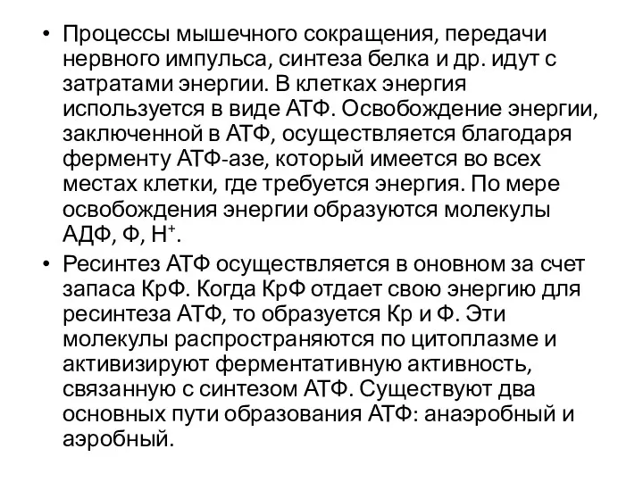 Процессы мышечного сокращения, передачи нервного импульса, синтеза белка и др.