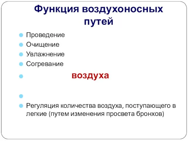 Функция воздухоносных путей Проведение Очищение Увлажнение Согревание воздуха Регуляция количества