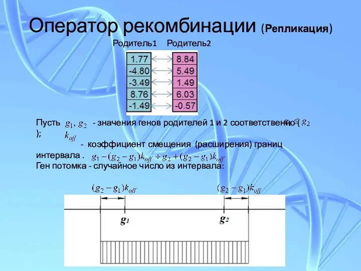 Оператор рекомбинации (Репликация) Родитель1 Родитель2 Пусть - значения генов родителей