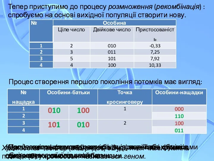 Тепер приступимо до процесу розмноження (рекомбінація) : спробуємо на основі