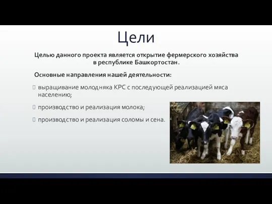 Цели Целью данного проекта является открытие фермерского хозяйства в республике Башкортостан. Основные направления
