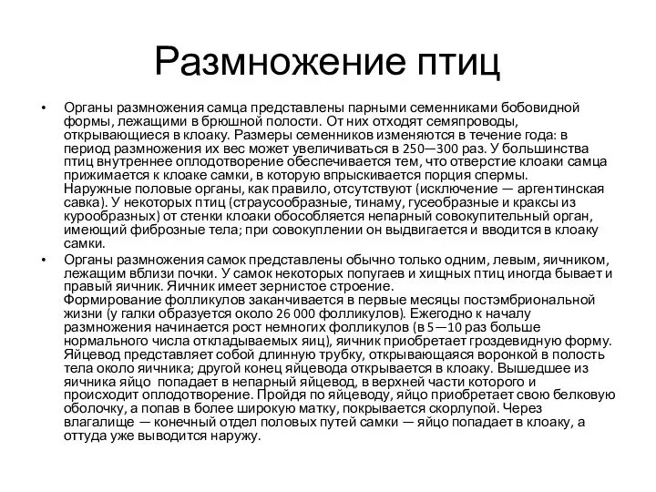 Размножение птиц Органы размножения самца представлены парными семенниками бобовидной формы, лежащими в брюшной