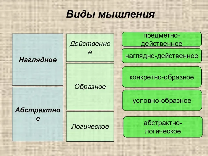 Виды мышления Наглядное Образное Абстрактное Действенное Логическое наглядно-действенное конкретно-образное условно-образное абстрактно-логическое предметно-действенное