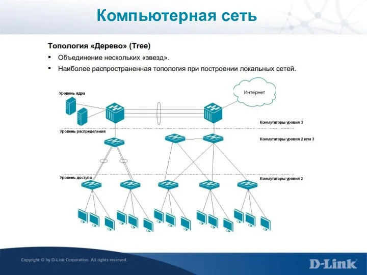 Компьютерная сеть