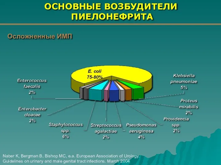 ОСНОВНЫЕ ВОЗБУДИТЕЛИ ПИЕЛОНЕФРИТА Naber K, Bergman B, Bishop MC, e.a.