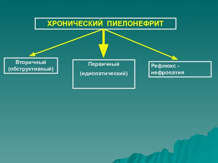 ХРОНИЧЕСКИЙ ПИЕЛОНЕФРИТ Вторичный (обструктивный) Рефлюкс -нефропатия Первичный (идиопатический)