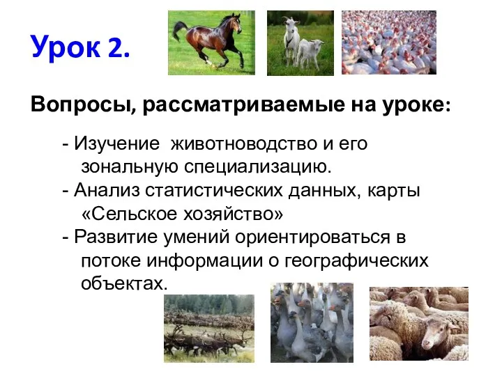 Урок 2. Вопросы, рассматриваемые на уроке: - Изучение животноводство и