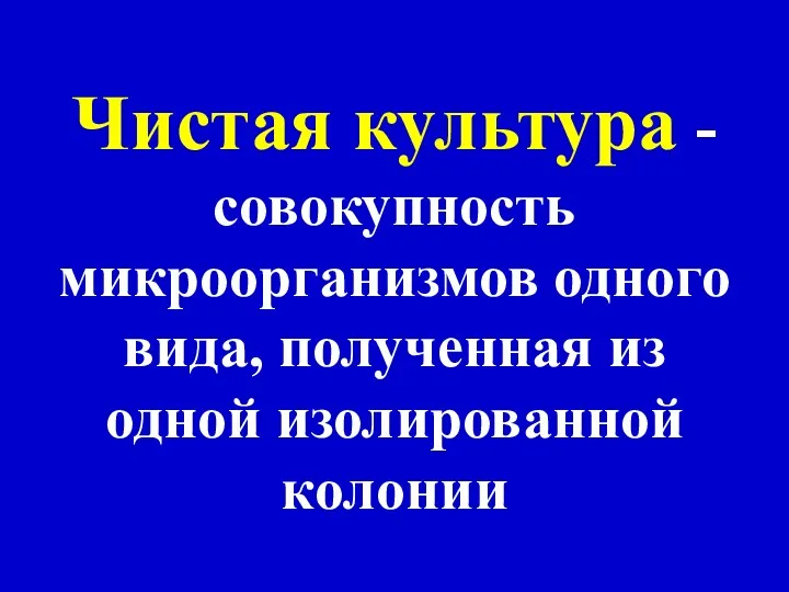 Чистая культура - совокупность микроорганизмов одного вида, полученная из одной изолированной колонии