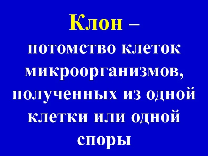 Клон – потомство клеток микроорганизмов, полученных из одной клетки или одной споры