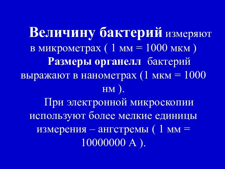 Величину бактерий измеряют в микрометрах ( 1 мм = 1000