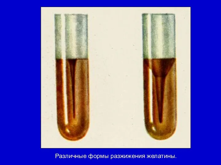 Различные формы разжижения желатины.