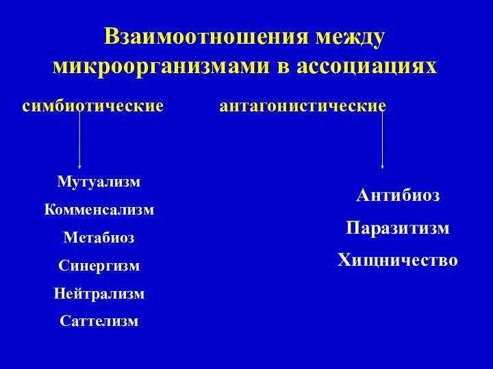 Взаимоотношения между микроорганизмами в ассоциациях симбиотические антагонистические Мутуализм Комменсализм Метабиоз Синергизм Нейтрализм Саттелизм Антибиоз Паразитизм Хищничество