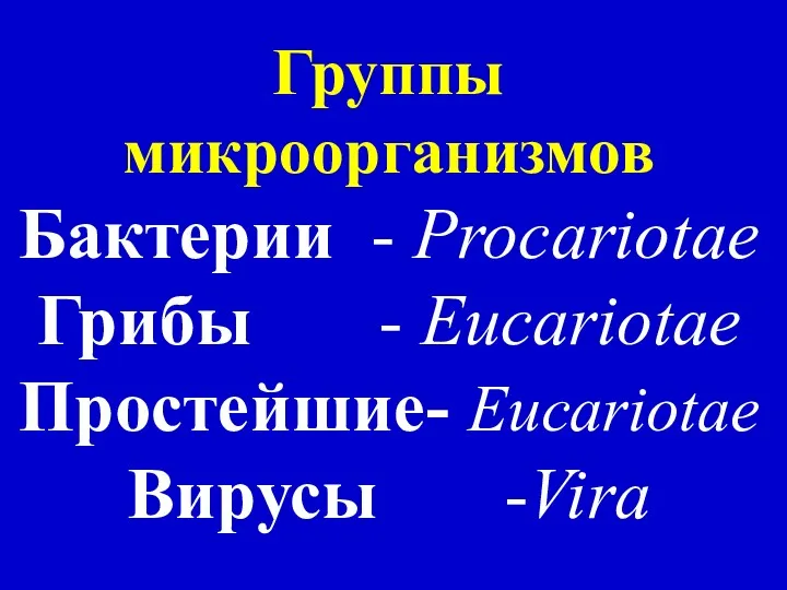 Группы микроорганизмов Бактерии - Procariotae Грибы - Eucariotae Простейшие- Eucariotae Вирусы -Vira