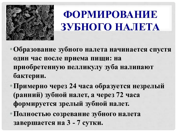 ФОРМИРОВАНИЕ ЗУБНОГО НАЛЕТА Образование зубного налета начинается спустя один час