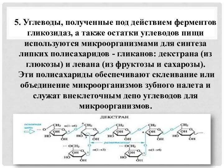 5. Углеводы, полученные под действием ферментов гликозидаз, а также остатки