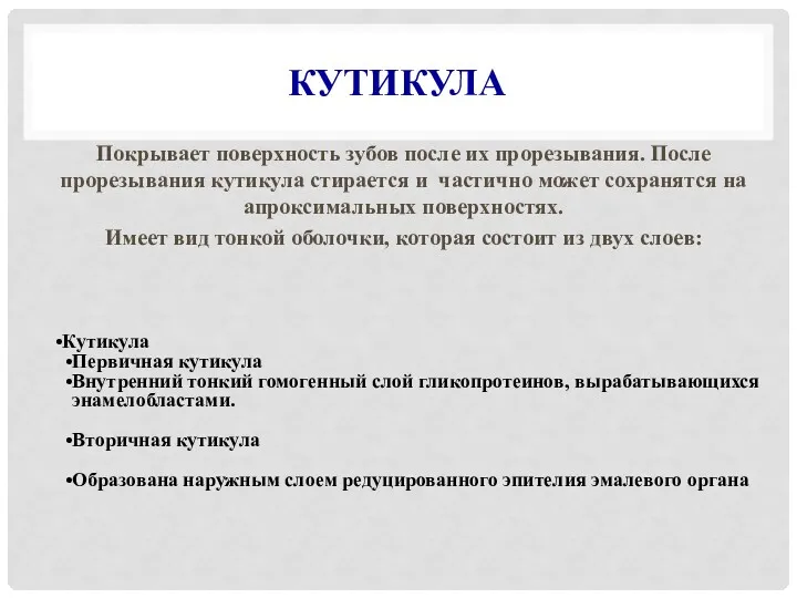 КУТИКУЛА Покрывает поверхность зубов после их прорезывания. После прорезывания кутикула