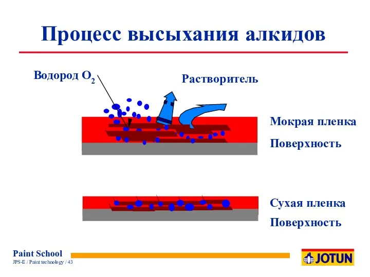 Процесс высыхания алкидов