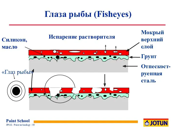 Испарение растворителя Силикон, масло Глаза рыбы (Fisheyes) Мокрый верхний слой Грунт Отпескост-руенная сталь «Глаз рыбы»