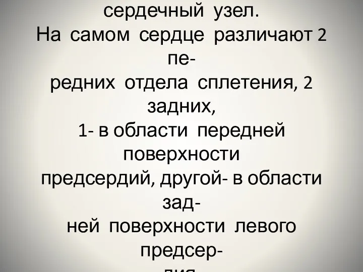 Во внесердечной части имеется скопление ганглиозных клеток и сердечный узел.