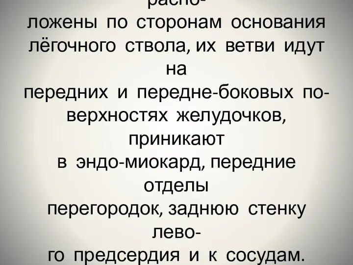 Передние отделы сплетения распо- ложены по сторонам основания лёгочного ствола,