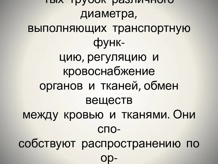 Кровеносные сосуды представляют собой систему циркулярно замкну- тых трубок различного