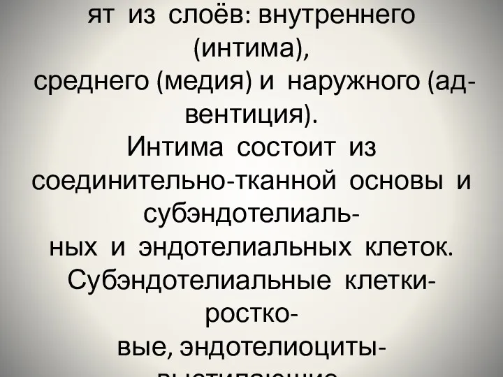 Стенки кровеносных сосудов состо- ят из слоёв: внутреннего (интима), среднего