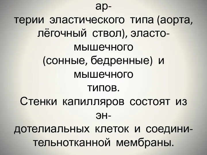 Принято разделять артерии на: ар- терии эластического типа (аорта, лёгочный