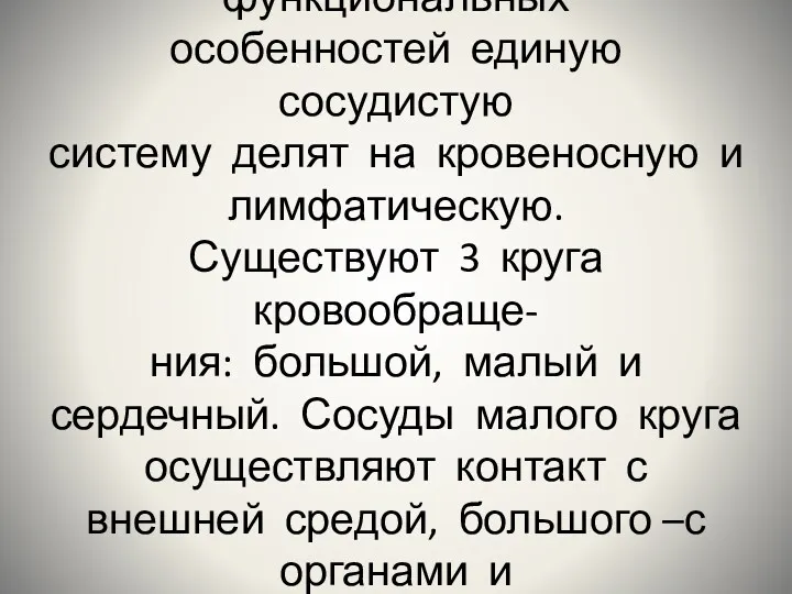 С учётом морфо-функциональных особенностей единую сосудистую систему делят на кровеносную