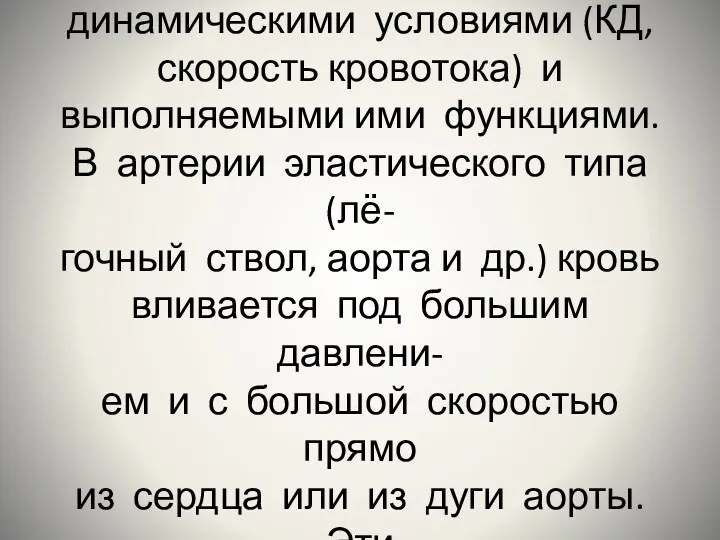 Строение сосудов связано с гемо- динамическими условиями (КД, скорость кровотока)