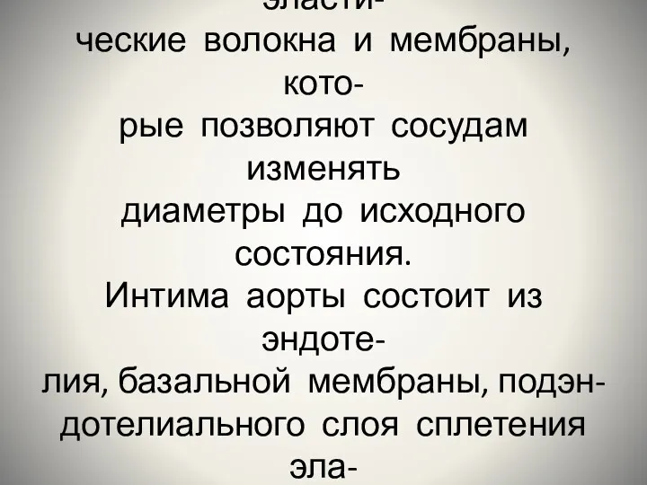 Стенка артерий эластического типа содержит многочисленные эласти- ческие волокна и