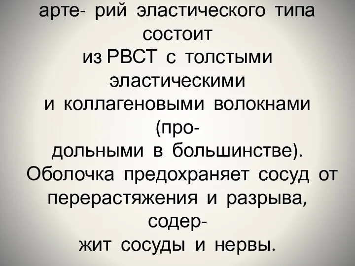 Наружная оболочка крупных арте- рий эластического типа состоит из РВСТ