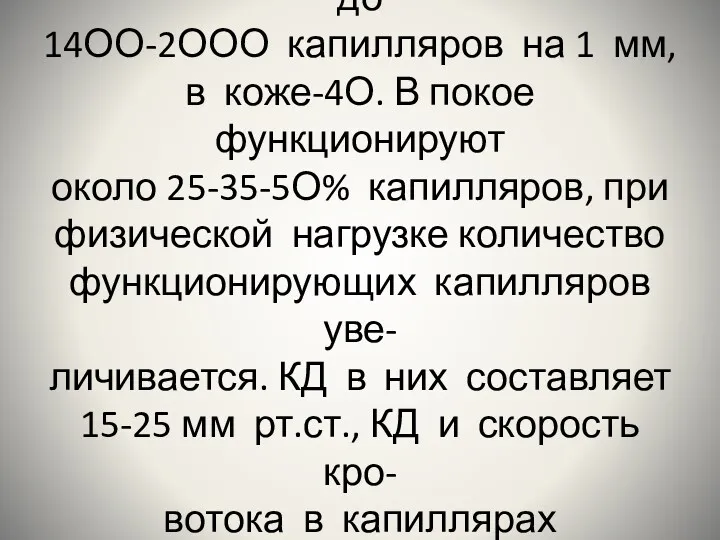 В мышце человека содержится до 14ОО-2ООО капилляров на 1 мм,