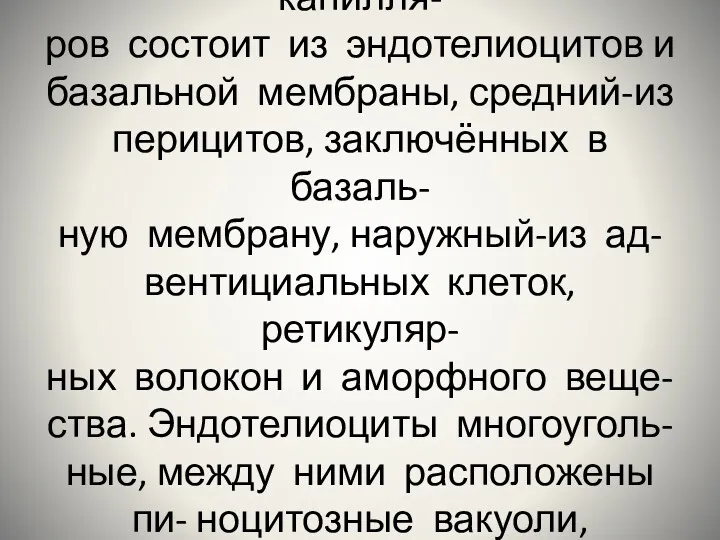 Внутренний слой стенки капилля- ров состоит из эндотелиоцитов и базальной